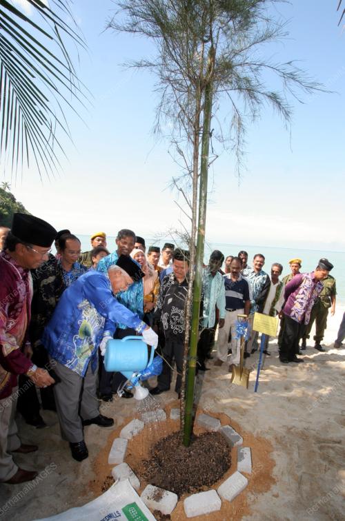 TYT_POKOK