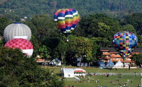 PG04_10022019_BELON_PANAS_BN201902100188