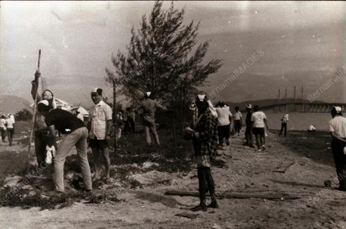 PROJEK MENANAM POKOK