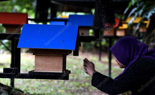 PG04_11072019_LADANG_KELULUT_BN201907104791