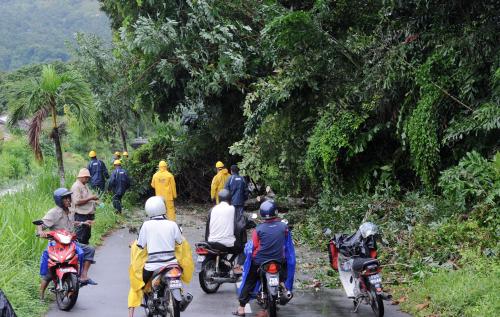 PG04_11082015_POKOK_JALAN