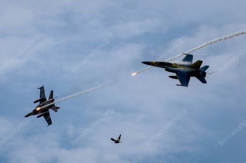 LATIHAN_LIMA25