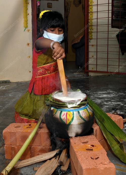 PERAYAAN PONGGAL
