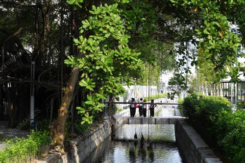 PG04_14112019_SIA_BOEY_BN201911137621