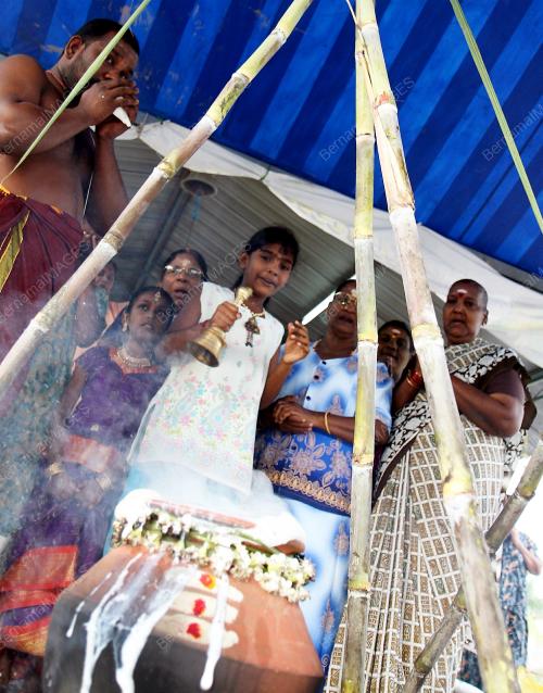 PG04_15012011_PONGGAL