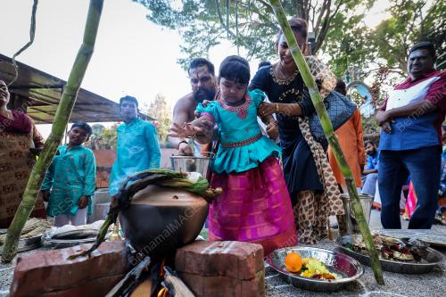 PESTA PONGGAL