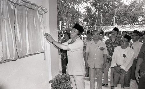 MUSA HITAM