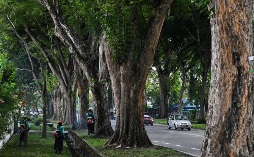 POKOK_JALAN