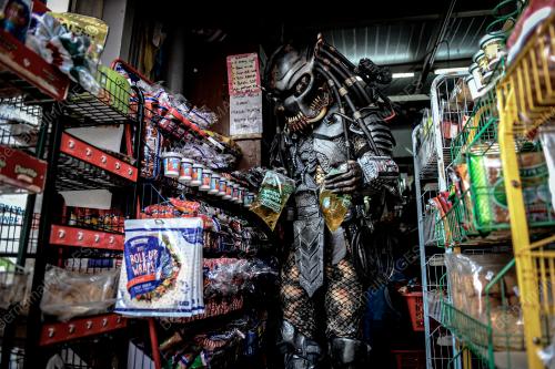 PREDATOR JUAL AYAM GUNTING