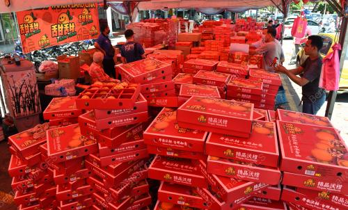 PERSIAPAN TAHUN ARNAB