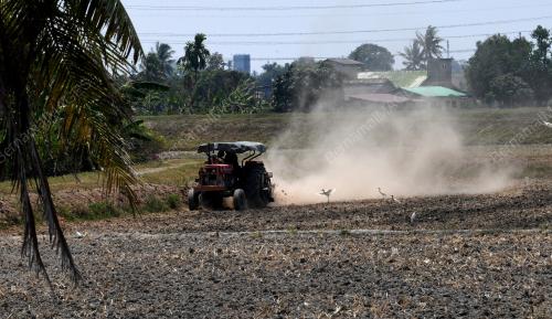 PG04_17032019_SAWAH_DEBU_BN201903173624