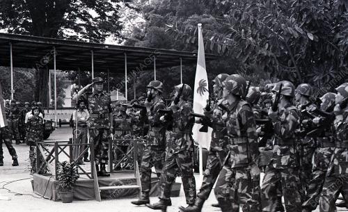 PERBARISAN
