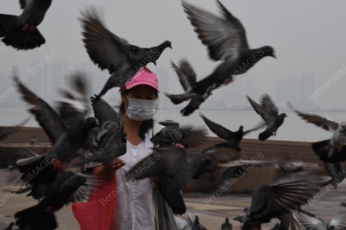 PG04_20092019_BURUNG_GANDUM_BN201902251564