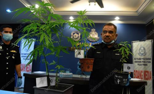 ACP NOORZAINY MOHD NOOR