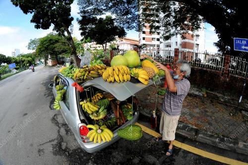 PENJUAL BUAH-BUAHAN