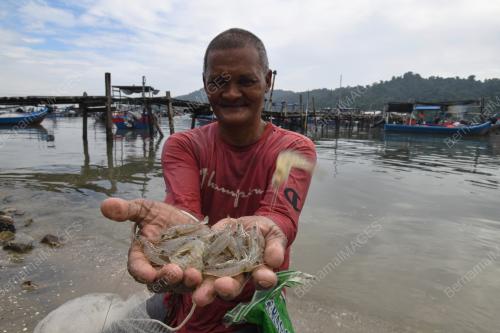 JALA UDANG