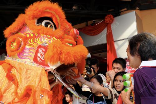 PG04_24012012_SINGA_LIMAU