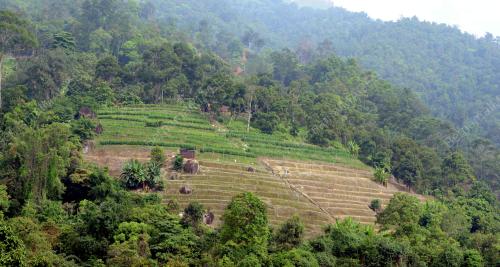 PG04_24112014_BUKIT_DITEROKAI