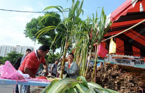 PG04_25022015_TEBU