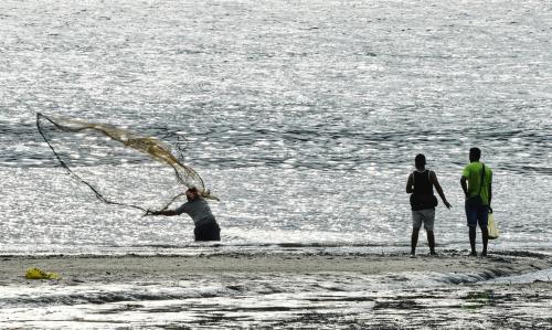 BANGLADESH JALA IKAN