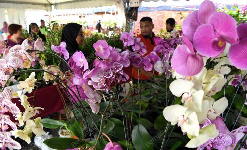 PG04_28042019_PENGUNJUNG_BUNGA_BN201904247774