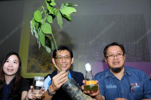 PG04_28062016_USM_POKOK
