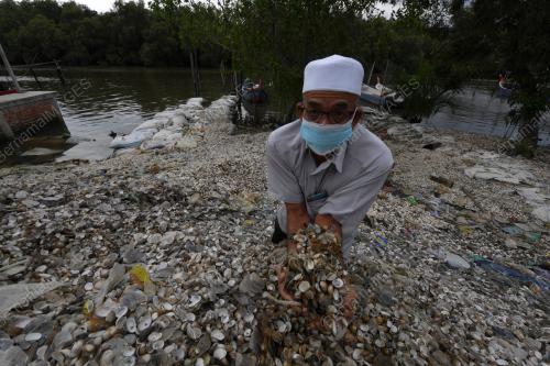 KERANG TERCEMAR