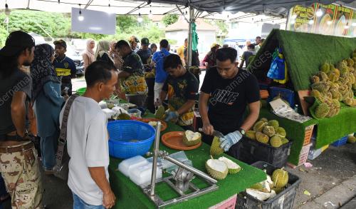 MUSIM DURIAN
