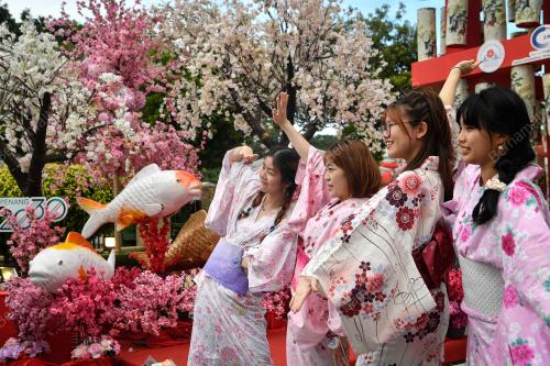 PENANG BON ODORI FESTIVAL 2022