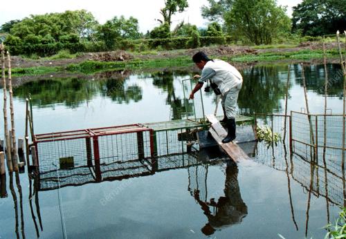 PG05-27_07_2000_BUAYA_11012016