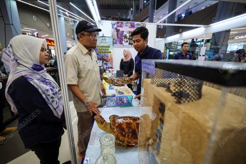 DATUK ADNAN HUSSAIN