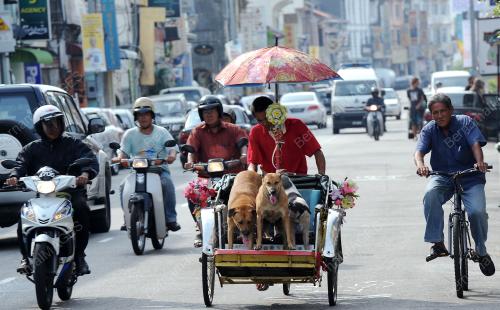 PG05_01082014_ANJING_BERSIAR