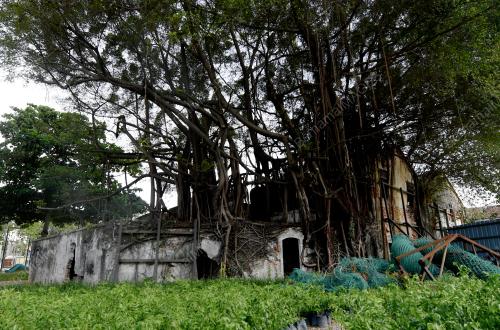 PG05_01082019_TAMAN_ARKEOLOGI_BN201907316782