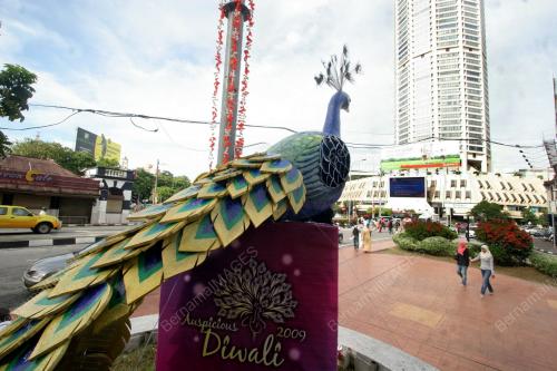 BURUNG MERAK