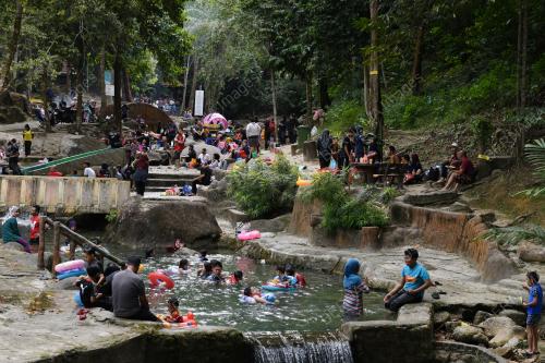 TAMAN RIMBA TELUK BAHANG