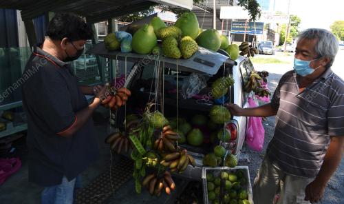 JUAL BUAH GUNA KERETA