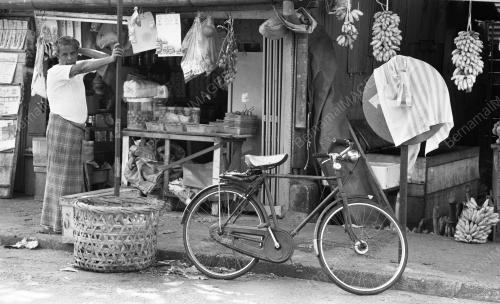 PG05_03082015_PISANG