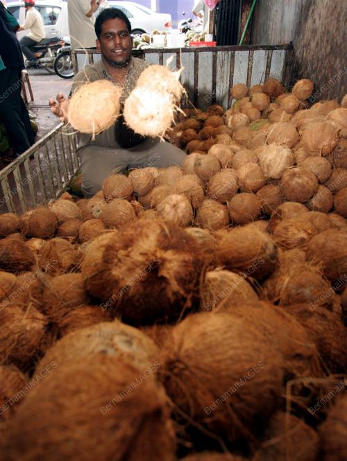 BUAH KELAPA