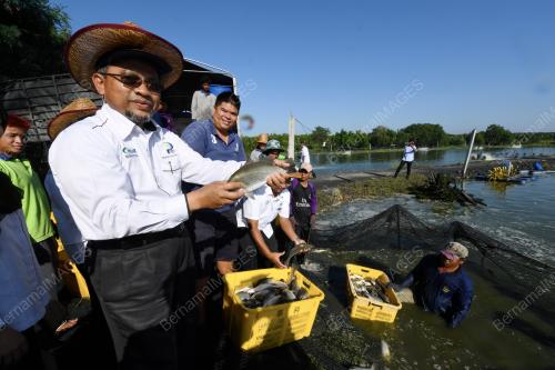 PG05_05022018_IKAN_PENGARAH_BN201802047976