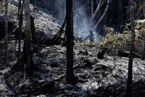 KEBAKARAN_HUTAN