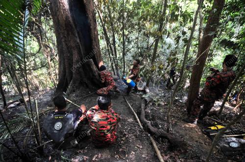 PG05_05032019_KEBAKARAN_HUTAN