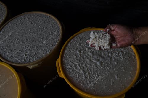 BEDAK SEJUK