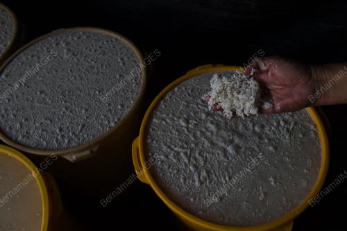 BEDAK SEJUK