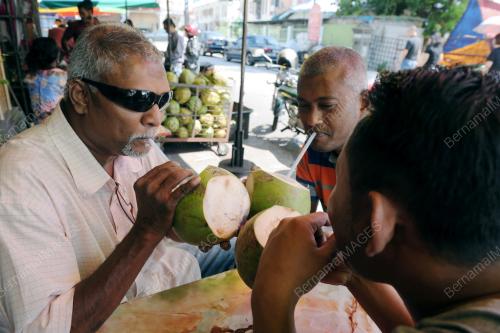 PG05_06012016_KELAPA_MUDA