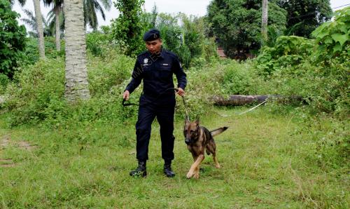PG05_08012013_POLIS_ANJING