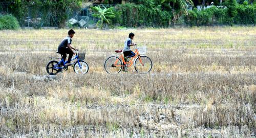 PG05_08042016_SAWAH_KERING