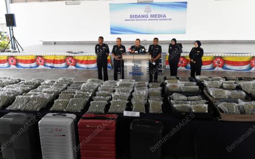 BUNGA_GANJA