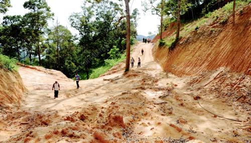 PG05_11065_BUKIT_11062015