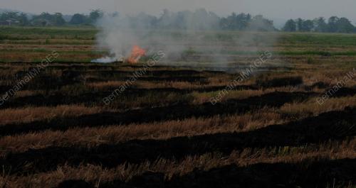 PG05_12082012_BAKAR