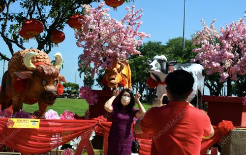 TINJAUAN TAHUN BAHARU CINA